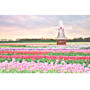 欧妇女乱妇女乱视频
