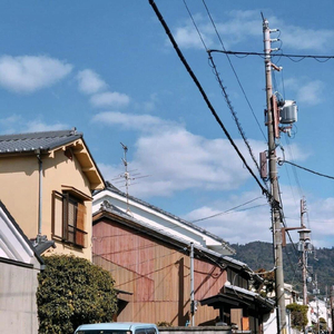 欧妇女乱妇女乱视频
