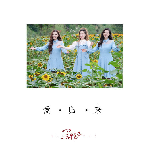 欧妇女乱妇女乱视频
